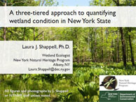 NYNHP 3-Tiered approach to quantifying wetland condition in New York State