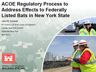 ACOE Regulatory Process to Address Effects to Federally Listed Bats in New York State