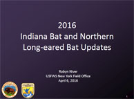 2016 Indiana Bat and NLEB updates